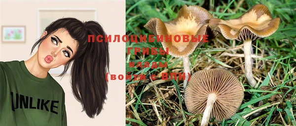 Альфа ПВП Абдулино